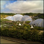 The Eden Project